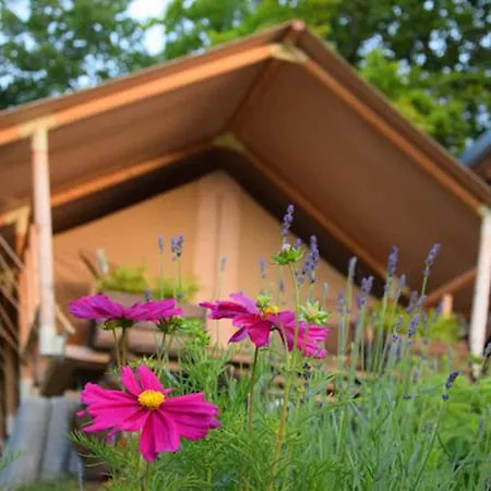 Luxury Tent 류블랴나